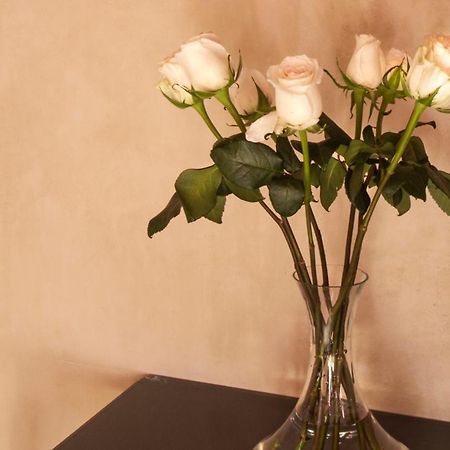 Rosas & Xocolate Boutique Hotel And Spa Merida, A Member Of Design Hotels ภายนอก รูปภาพ