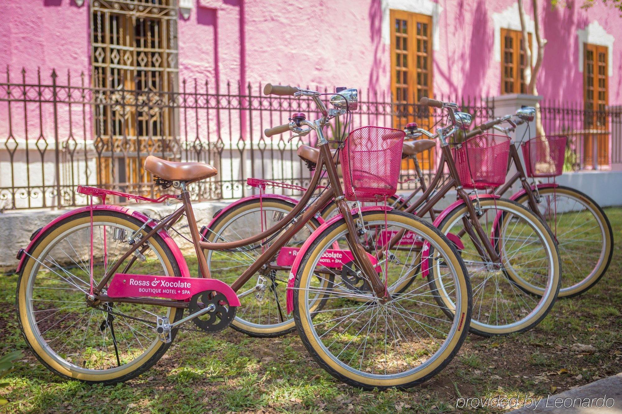 Rosas & Xocolate Boutique Hotel And Spa Merida, A Member Of Design Hotels ภายนอก รูปภาพ